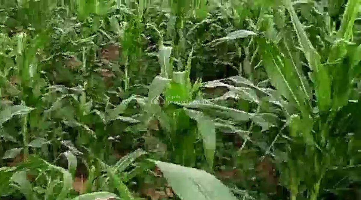12 Hectare Farmland with Nagis Documentation, Opposite Snake Farm, Karu, Nasarawa, Mixed-use Land for Sale
