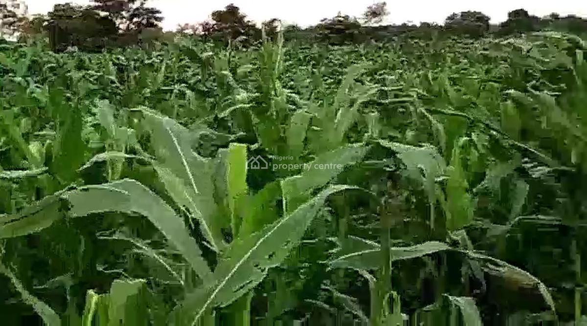 12 Hectare Farmland with Nagis Documentation, Opposite Snake Farm, Karu, Nasarawa, Mixed-use Land for Sale