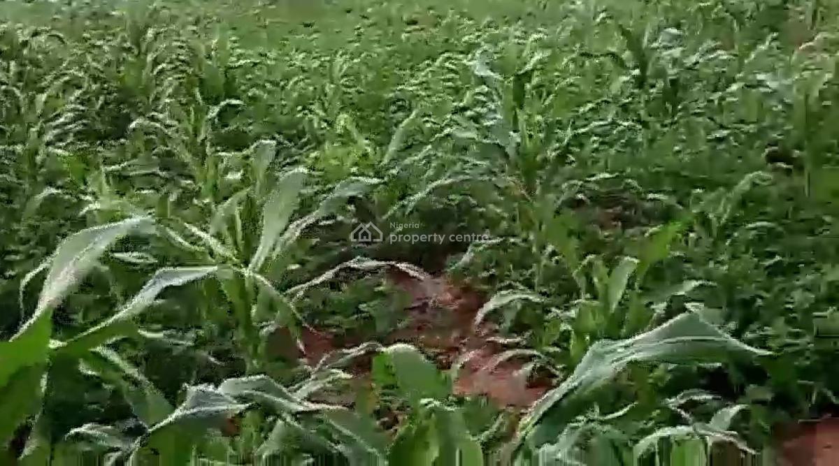 12 Hectare Farmland with Nagis Documentation, Opposite Snake Farm, Karu, Nasarawa, Mixed-use Land for Sale