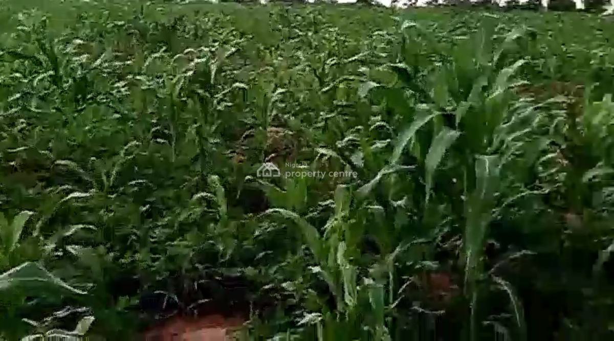 12 Hectare Farmland with Nagis Documentation, Opposite Snake Farm, Karu, Nasarawa, Mixed-use Land for Sale