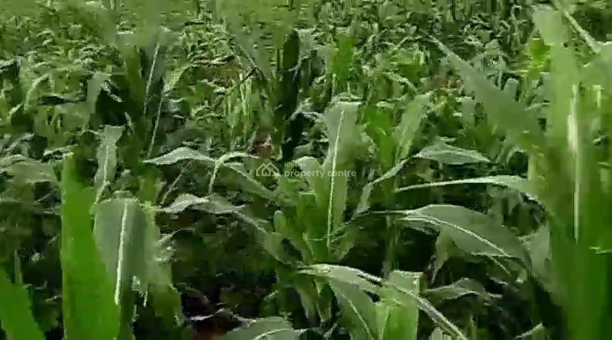 12 Hectare Farmland with Nagis Documentation, Opposite Snake Farm, Karu, Nasarawa, Mixed-use Land for Sale