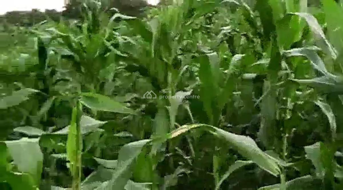 12 Hectare Farmland with Nagis Documentation, Opposite Snake Farm, Karu, Nasarawa, Mixed-use Land for Sale