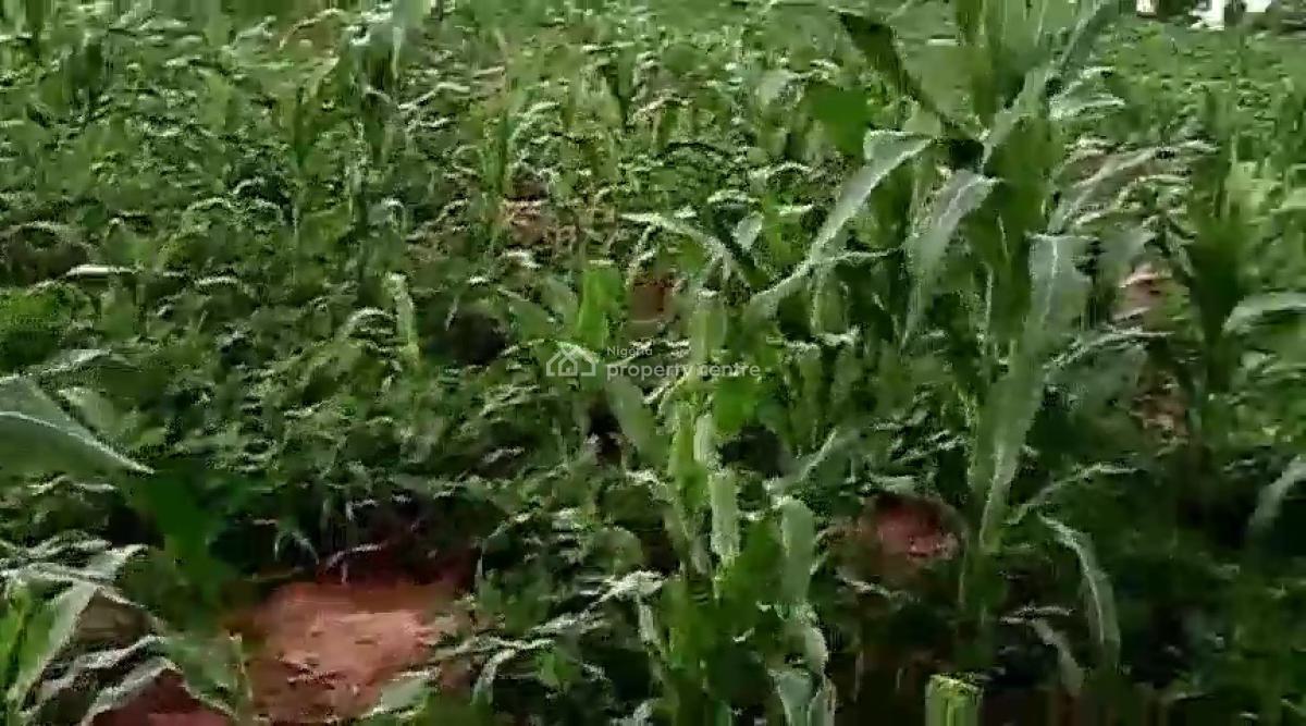 12 Hectare Farmland with Nagis Documentation, Opposite Snake Farm, Karu, Nasarawa, Mixed-use Land for Sale
