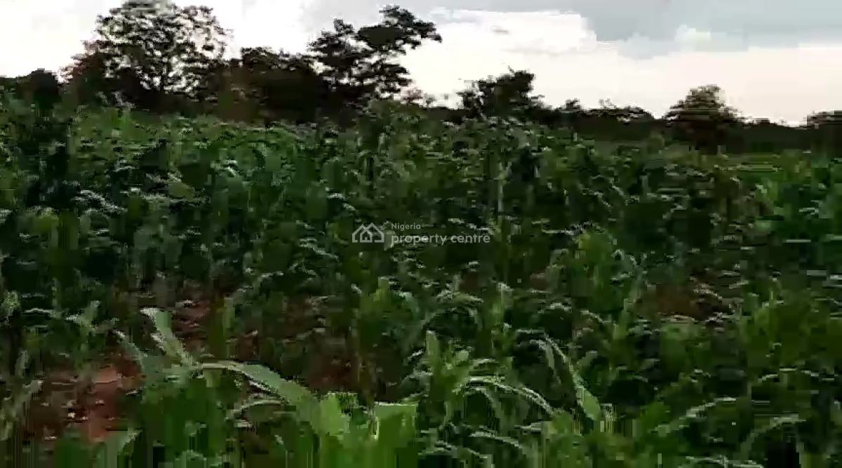 12 Hectare Farmland with Nagis Documentation, Opposite Snake Farm, Karu, Nasarawa, Mixed-use Land for Sale