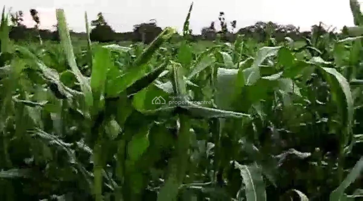 12 Hectare Farmland with Nagis Documentation, Opposite Snake Farm, Karu, Nasarawa, Mixed-use Land for Sale
