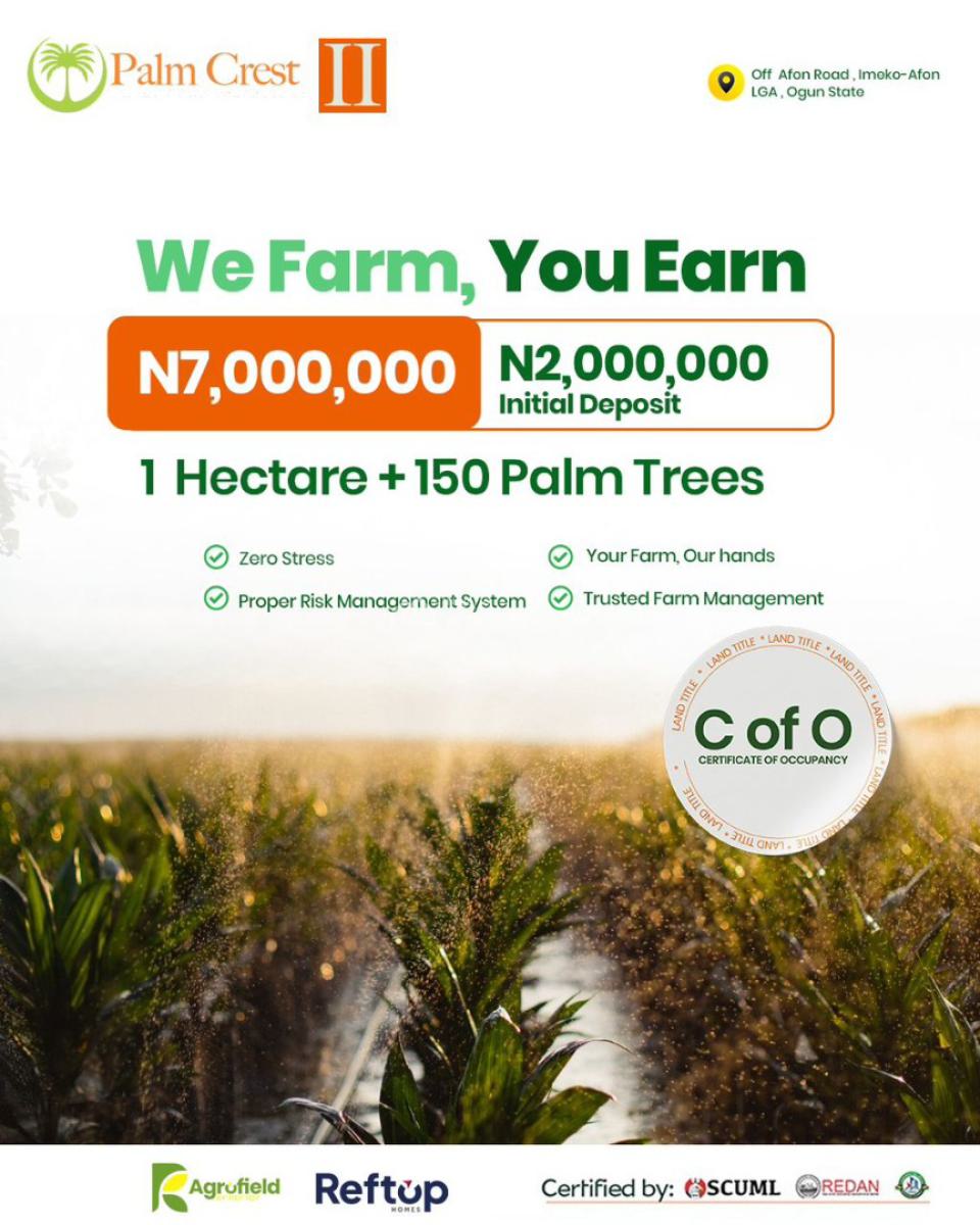 Agro Palm Plantation Acres & Hectares of Land with C of O, Off Abeokuta, Imeko Afon, Ogun, Industrial Land for Sale