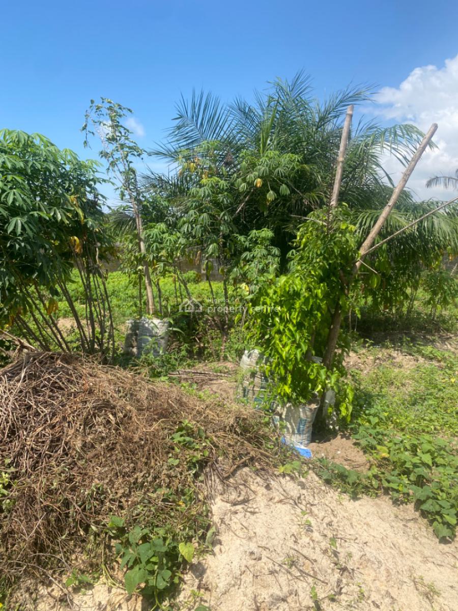 600 Sqm Fenced Land, Ogunfayo, Lakowe, Ibeju Lekki, Lagos, Residential Land for Sale