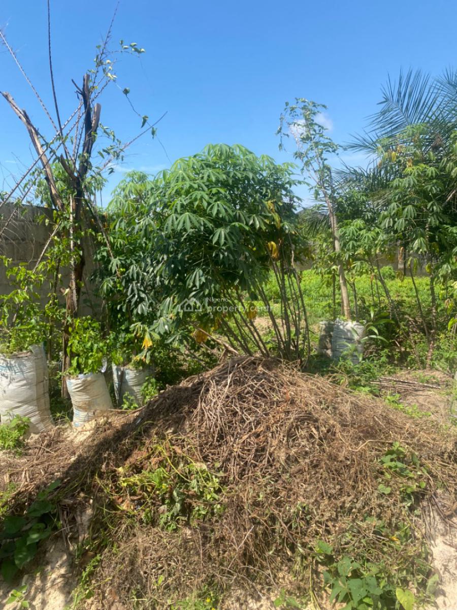 600 Sqm Fenced Land, Ogunfayo, Lakowe, Ibeju Lekki, Lagos, Residential Land for Sale