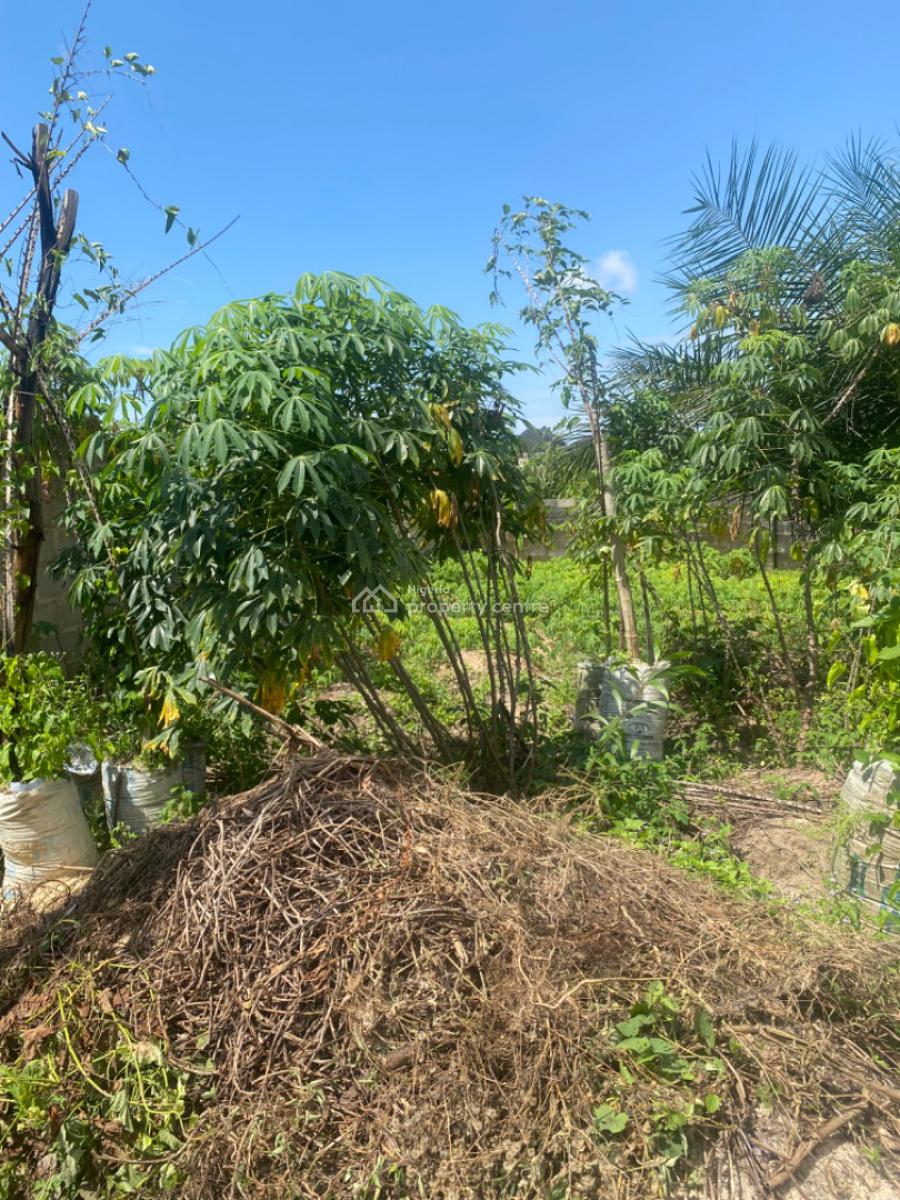 600 Sqm Fenced Land, Ogunfayo, Lakowe, Ibeju Lekki, Lagos, Residential Land for Sale