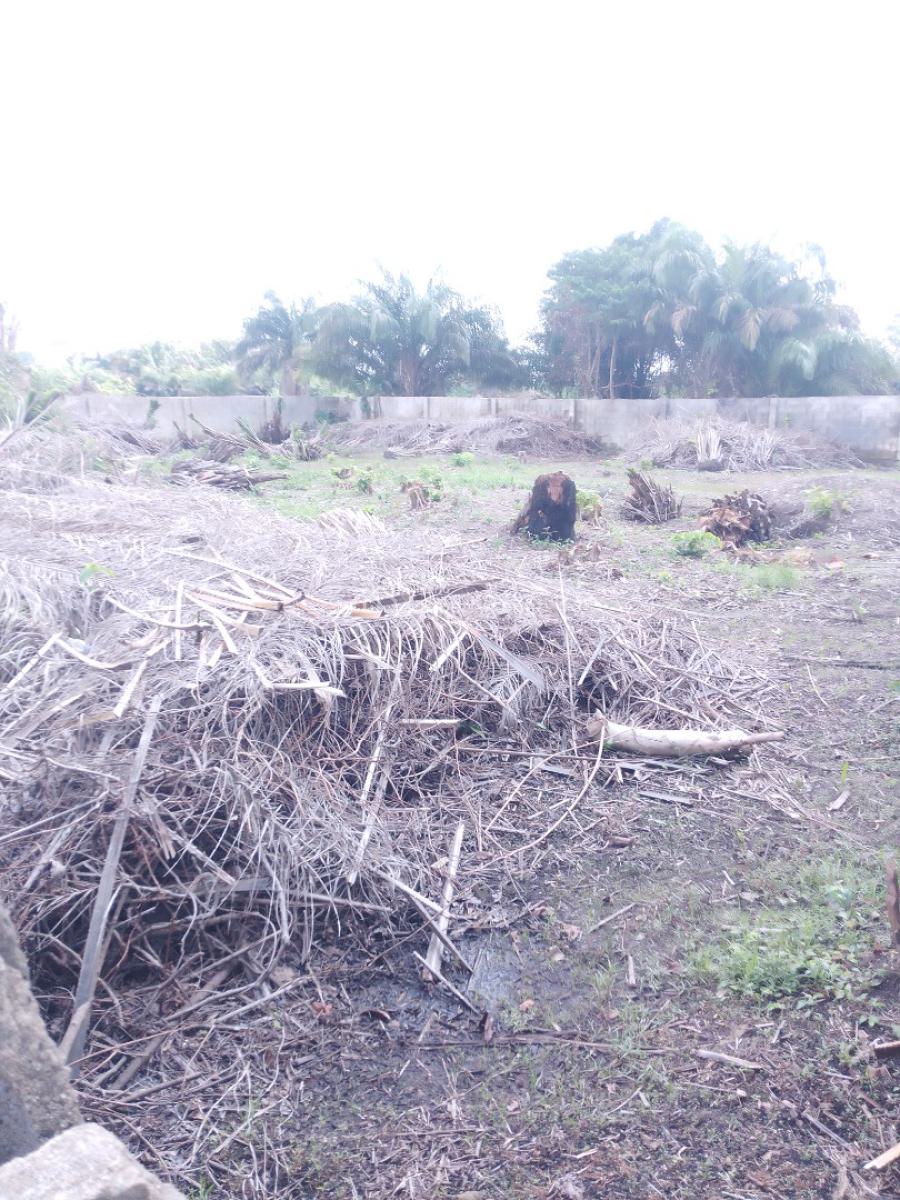 Land Purchase, Sangotedo, Ajah, Lagos, Residential Land for Sale