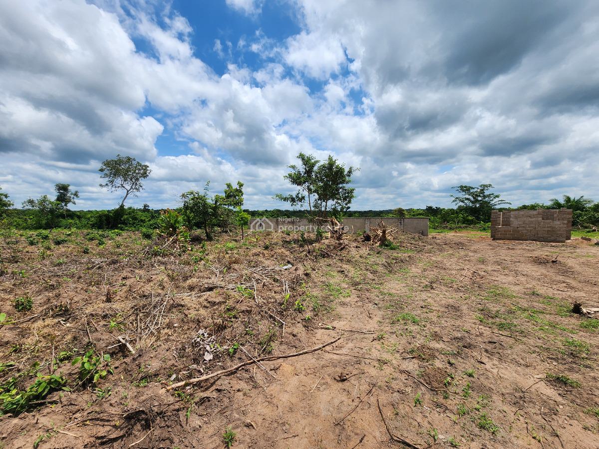 Own Productive Farmland Suitable for Cocoa Farming, Off Funaab, Alabata Road, Odeda, Ogun, Mixed-use Land for Sale