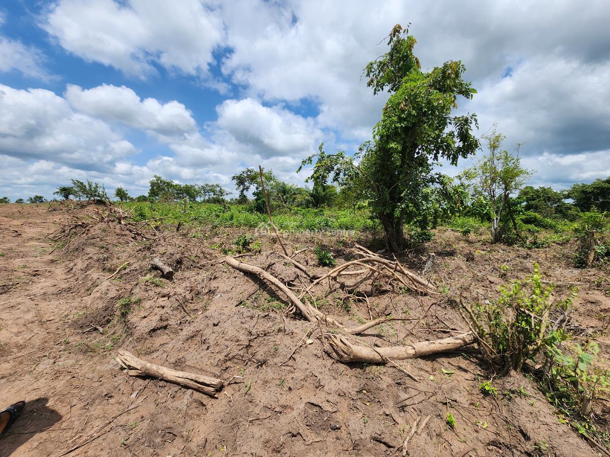 Own Productive Farmland Suitable for Cocoa Farming, Off Funaab, Alabata Road, Odeda, Ogun, Mixed-use Land for Sale