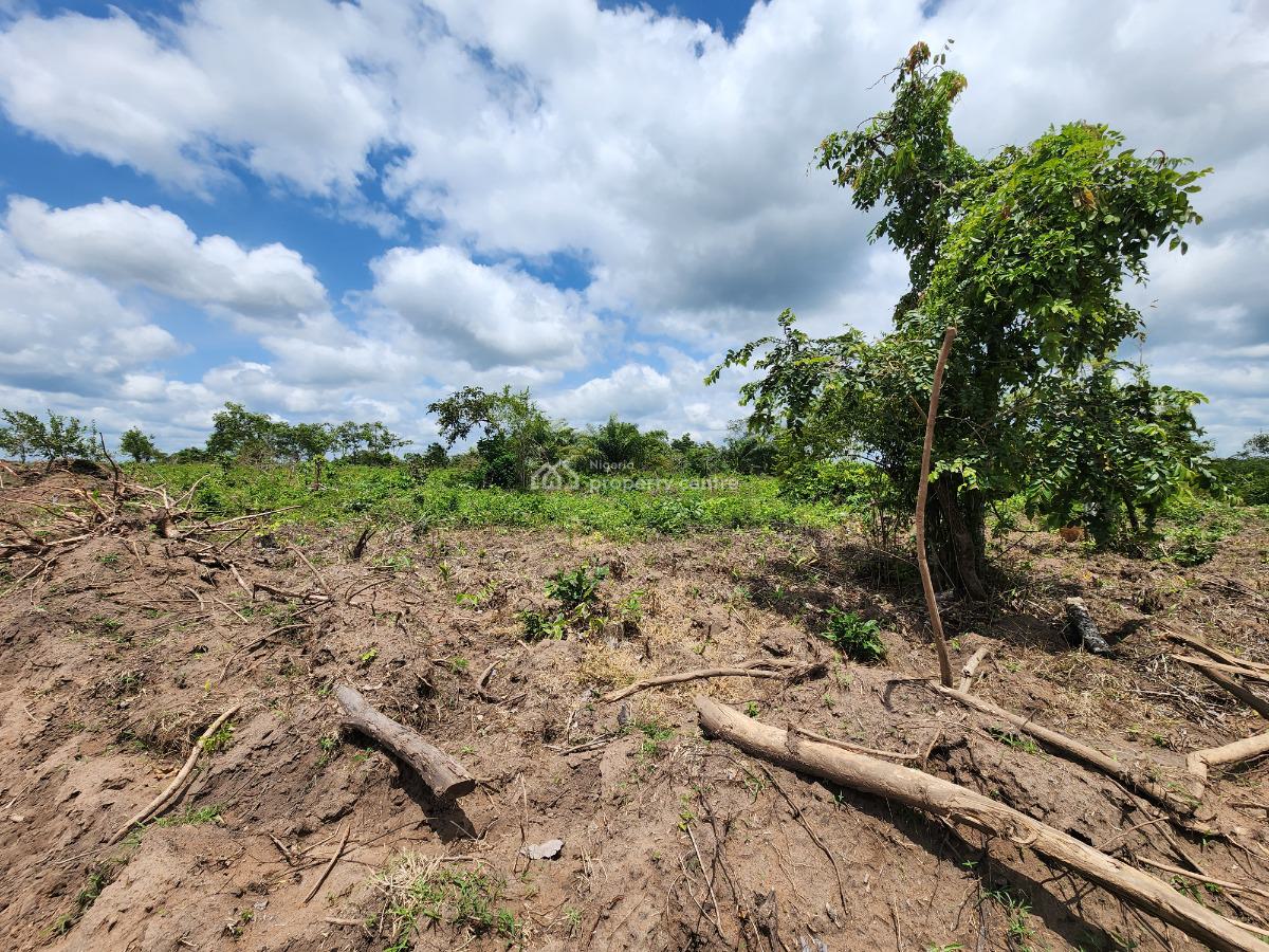 Own Productive Farmland Suitable for Cocoa Farming, Off Funaab, Alabata Road, Odeda, Ogun, Mixed-use Land for Sale