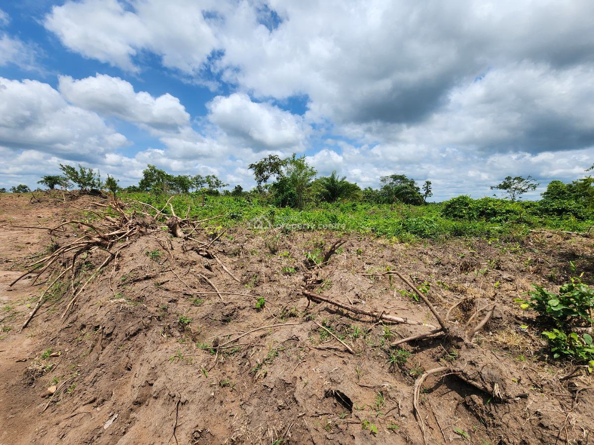 Acres of Farmland with a Promo Offer Suitable for Cashew Plantation, Off Funaab, Alabata Road, Odeda, Ogun, Mixed-use Land for Sale