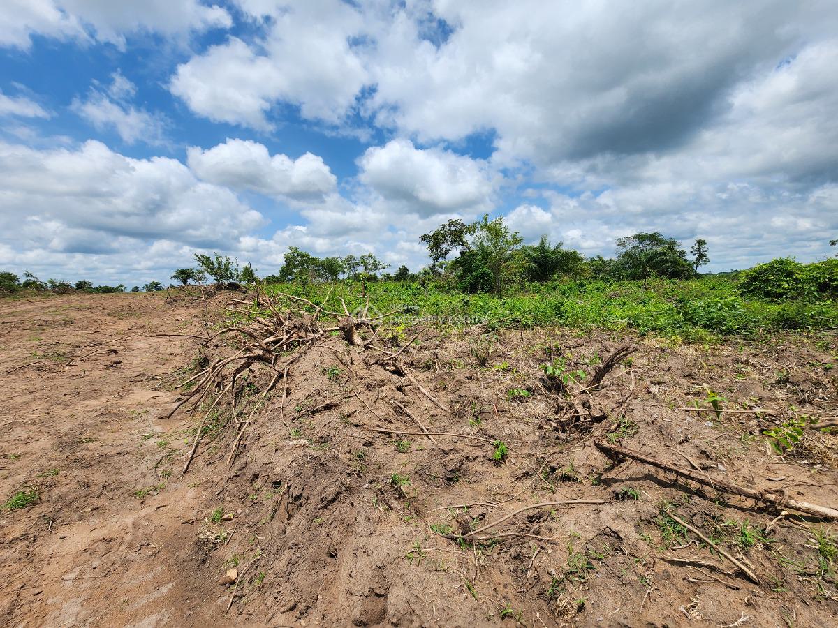 Acres of Farmland with a Promo Offer Suitable for Cashew Plantation, Off Funaab, Alabata Road, Odeda, Ogun, Mixed-use Land for Sale