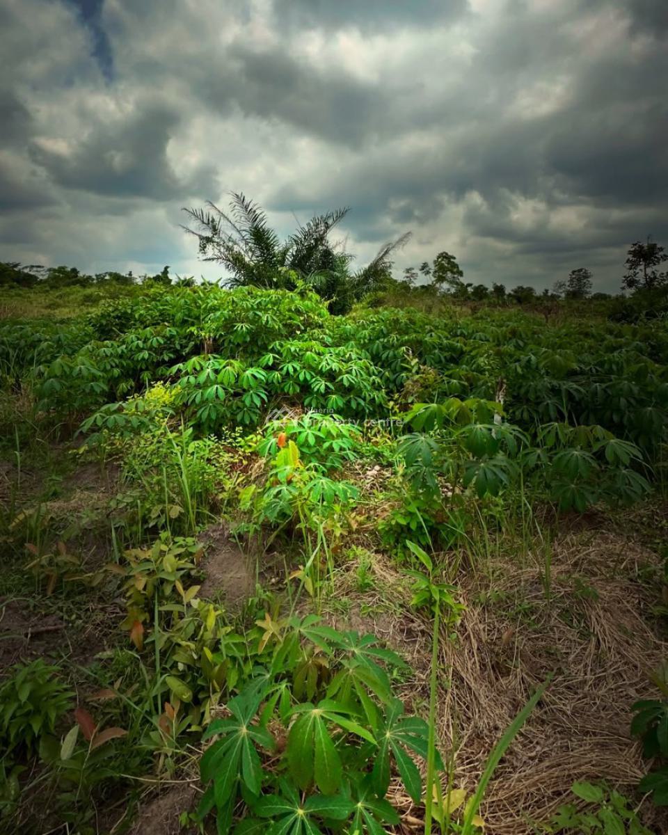 Own Affordable, Fertile Farmland Ideal for Cassava Farming, Off Funaab, Alabata Road, Odeda, Ogun, Mixed-use Land for Sale