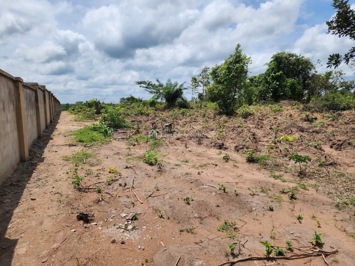 Own Productive Farmland Suitable for Oil Palm Farming, Off Funaab, Alabata Road, Odeda, Ogun, Mixed-use Land for Sale