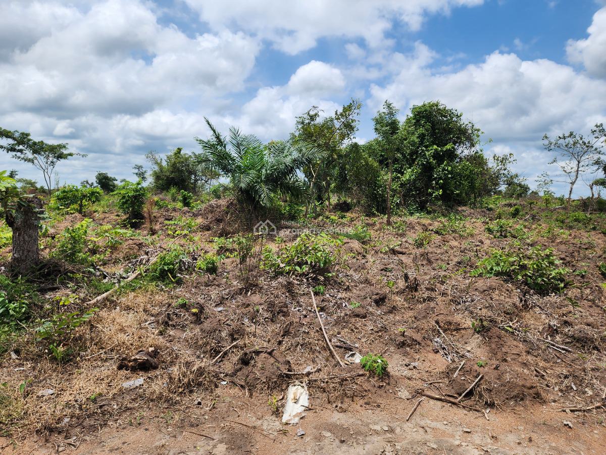 Own Productive Farmland Suitable for Oil Palm Farming, Off Funaab, Alabata Road, Odeda, Ogun, Mixed-use Land for Sale
