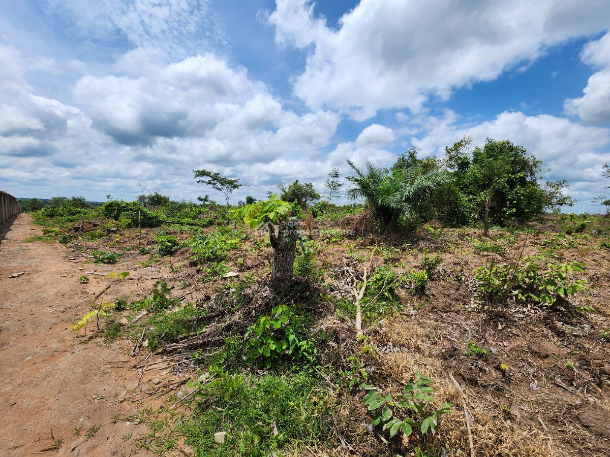 Own Farm Land with Zero Farming Experience Needed, Off Funaab, Alabata Road, Odeda, Ogun, Mixed-use Land for Sale