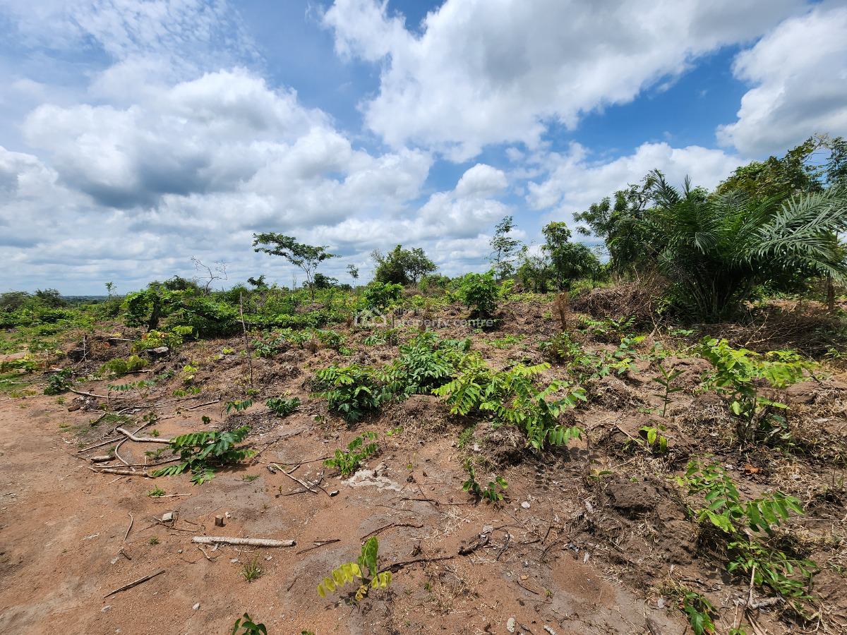 Own Farm Land with Zero Farming Experience Needed, Off Funaab, Alabata Road, Odeda, Ogun, Mixed-use Land for Sale