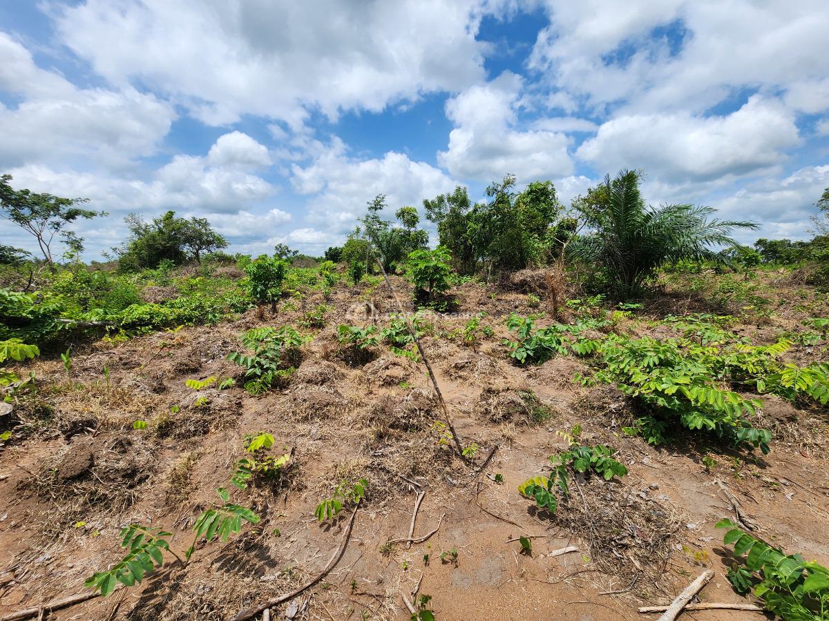 Own 100% Fertile Farmland, Ideal for Cashew Farming, Off Funaab, Alabata Road, Odeda, Ogun, Mixed-use Land for Sale
