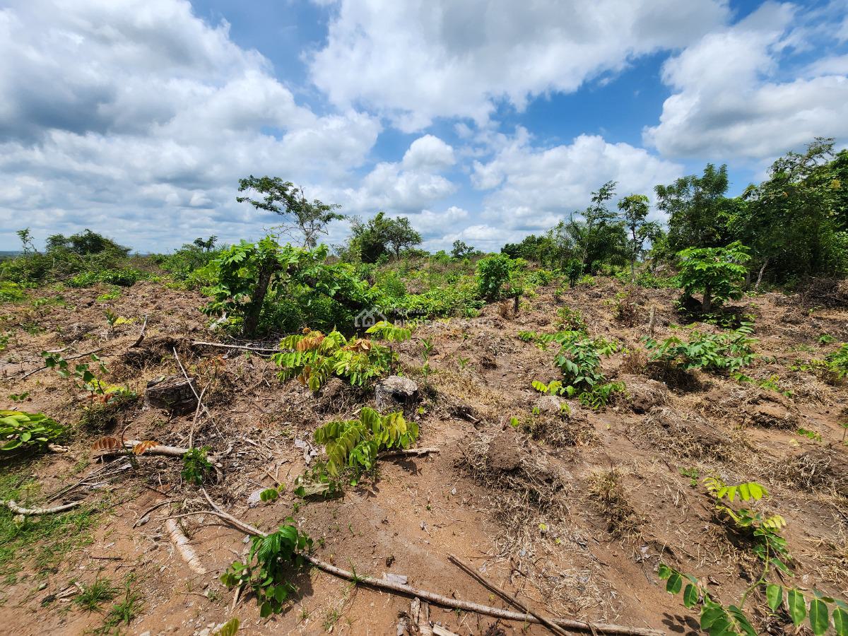 Own 100% Fertile Farmland, Ideal for Cashew Farming, Off Funaab, Alabata Road, Odeda, Ogun, Mixed-use Land for Sale