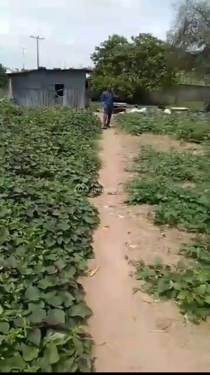 1200sqm Residential Land in Jabi on a Tarred Road, Jabi, Abuja, Residential Land for Sale