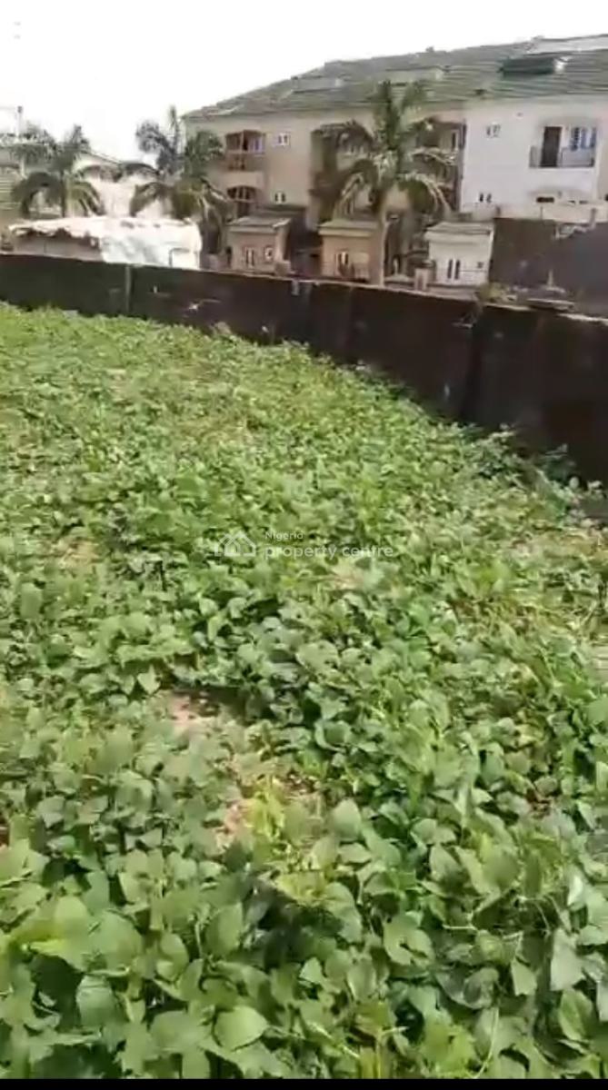 1200sqm Residential Land in Jabi on a Tarred Road, Jabi, Abuja, Residential Land for Sale
