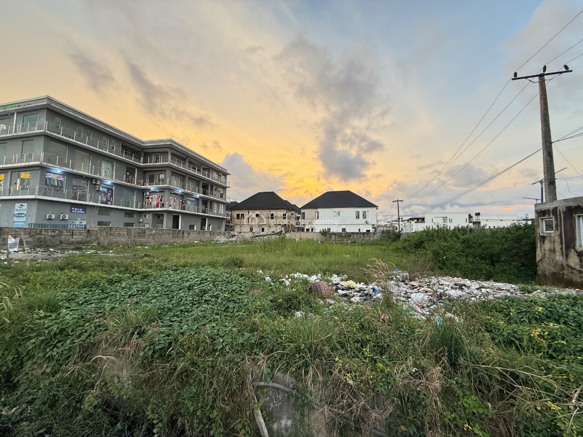 1600sqm Land Directly Facing a Busy Road, Lekki, Lagos, Land for Rent
