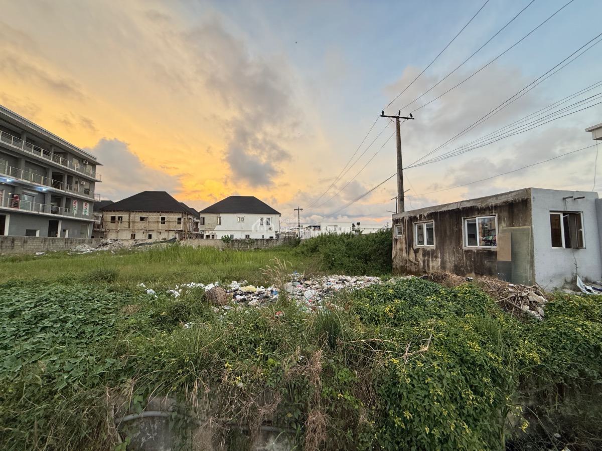 1600sqm Land Directly Facing a Busy Road, Lekki, Lagos, Land for Rent
