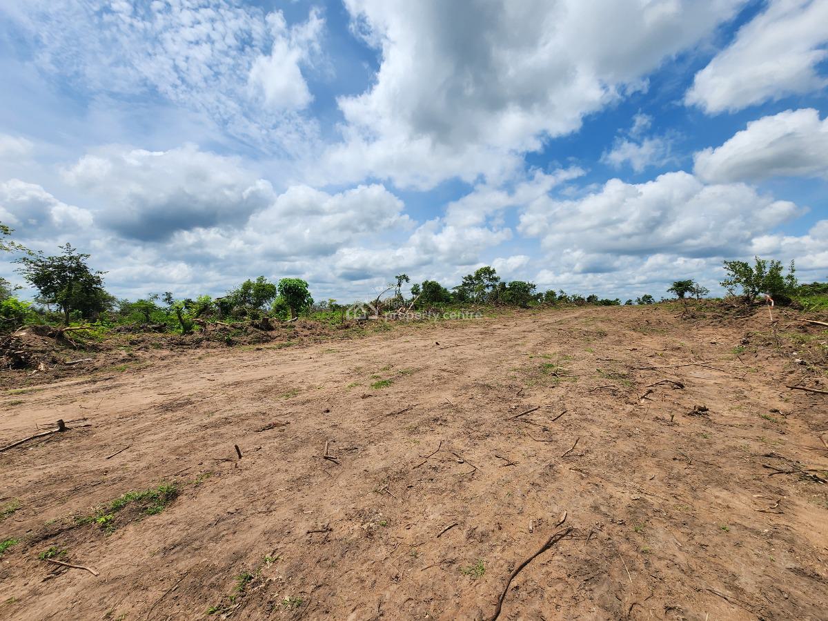 Affordable Farm Land with High Returns on Investment, Off Funaab, Alabata Road, Odeda, Ogun, Mixed-use Land for Sale