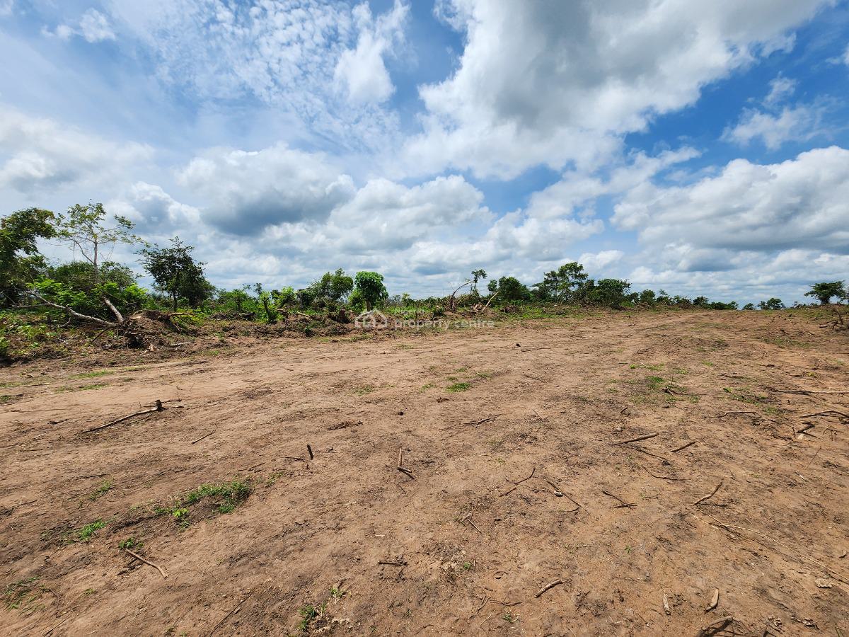 Own Acres of 100% Fertile Land Suitable for Oil Palm Farming, Off Funaab, Alabata Road, Odeda, Ogun, Mixed-use Land for Sale
