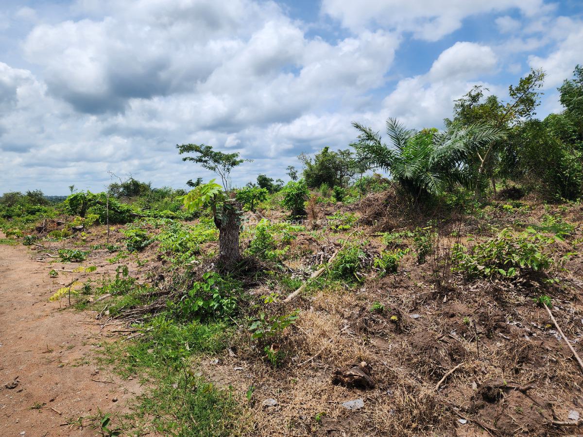Get Farmland That Generates Income All Year Round, Off Funaab, Alabata Road, Odeda, Ogun, Mixed-use Land for Sale