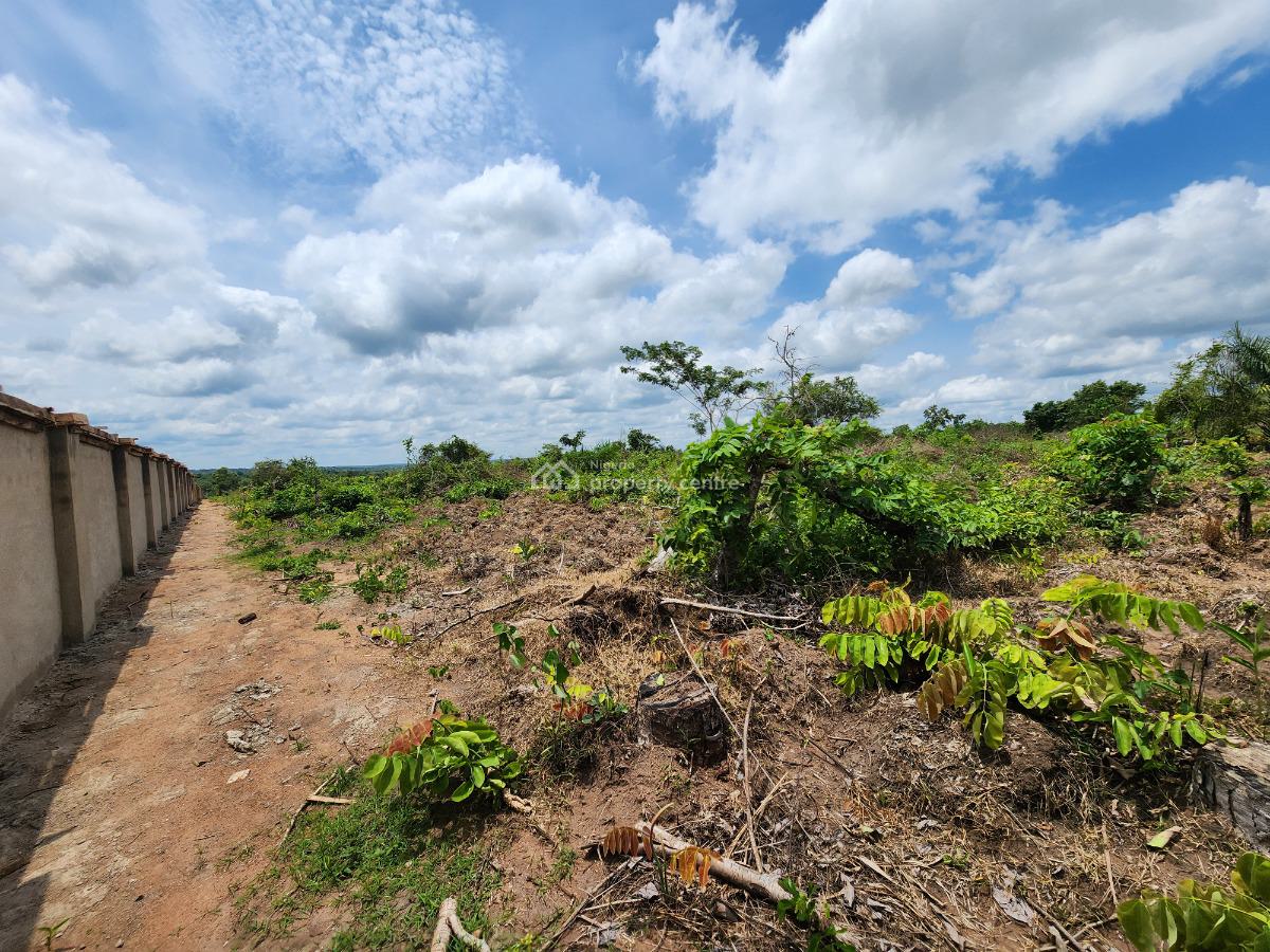 Own Fertile Farmlands with Easy Payment Options, Off Funaab, Alabata Road, Odeda, Ogun, Mixed-use Land for Sale