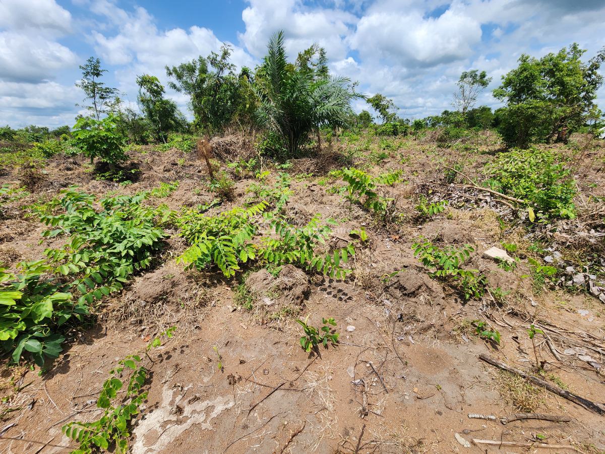 Acres of Farmland with a Promo Offer Suitable for Cocoa Plantation, Off Funaab, Alabata Road, Odeda, Ogun, Mixed-use Land for Sale