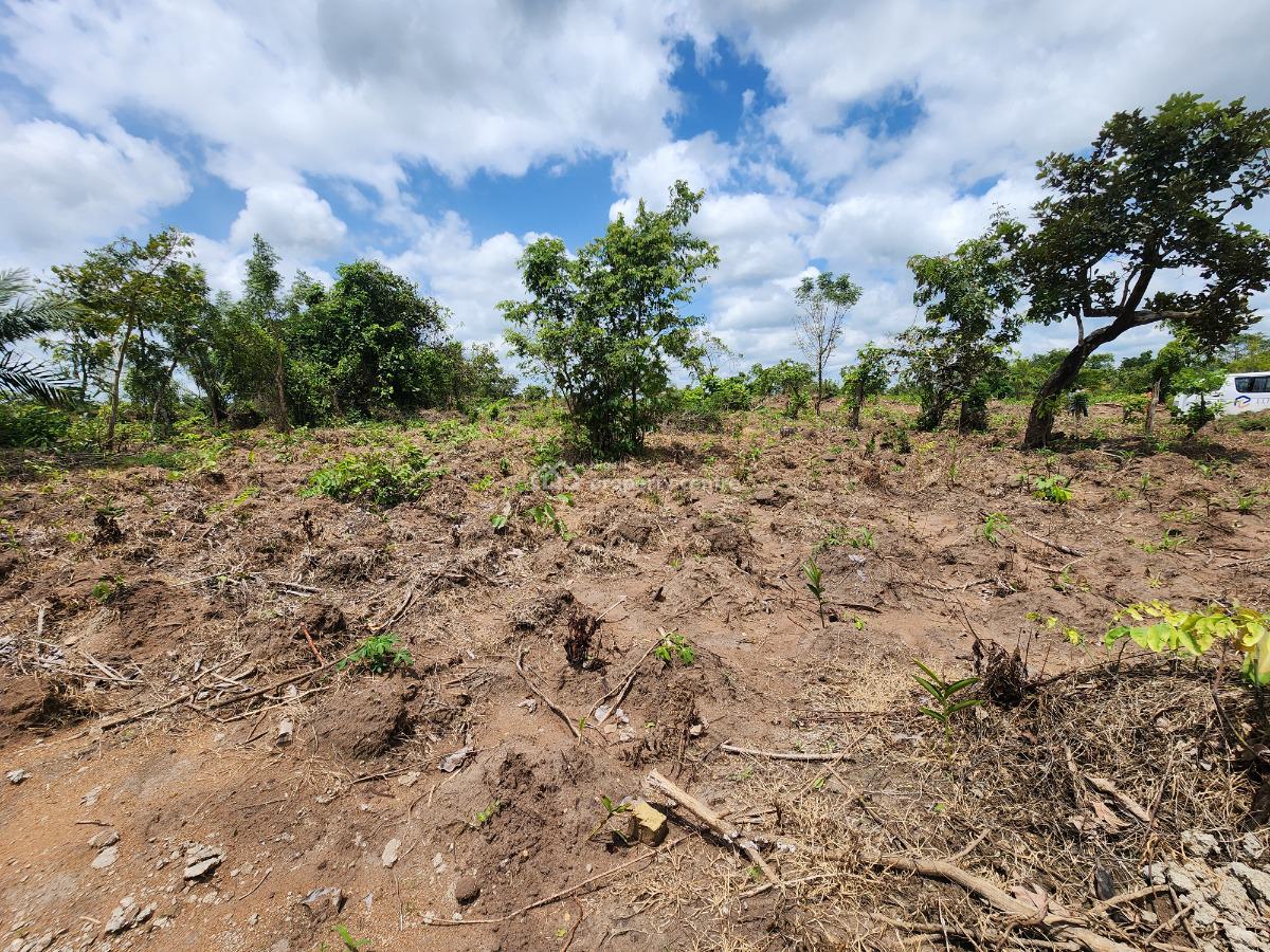 Acres of Farmland with a Promo Offer Suitable for Cocoa Plantation, Off Funaab, Alabata Road, Odeda, Ogun, Mixed-use Land for Sale
