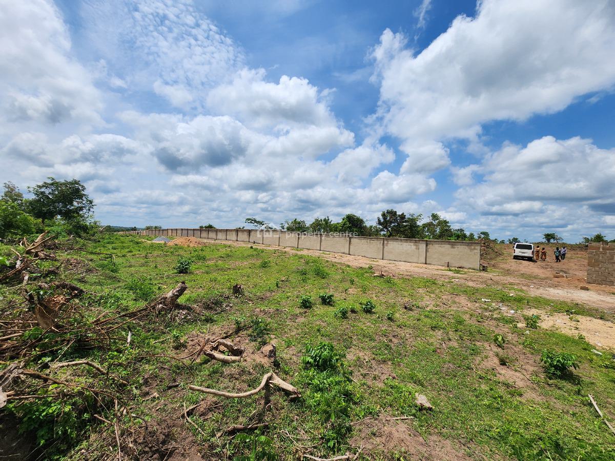Own Affordable, Fertile Farmland Ideal for Oil Palm Farming, Off Funaab, Alabata Road, Odeda, Ogun, Mixed-use Land for Sale