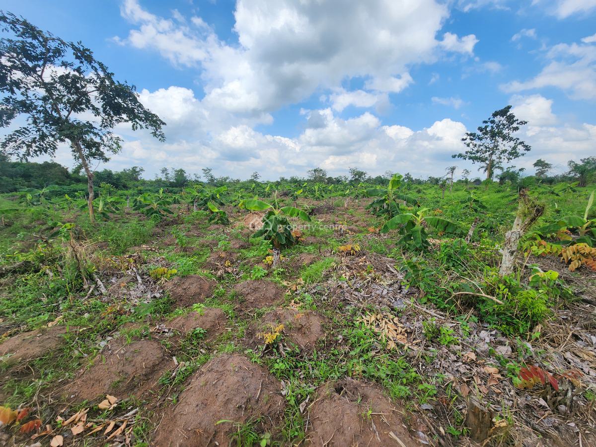 Own Acres of 100% Fertile Land Suitable for Plantain Farming, Off Funaab, Alabata Road, Odeda, Ogun, Mixed-use Land for Sale