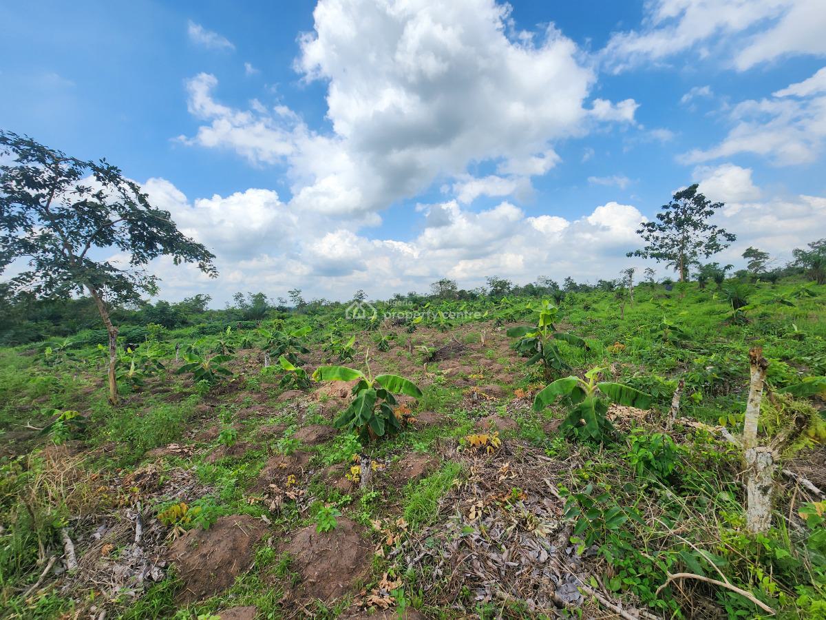 Own Acres of 100% Fertile Land Suitable for Plantain Farming, Off Funaab, Alabata Road, Odeda, Ogun, Mixed-use Land for Sale