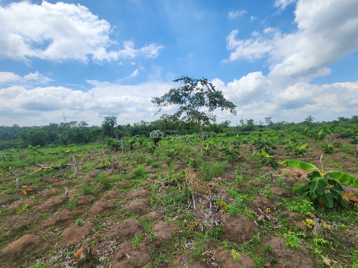 Own Acres of 100% Fertile Land Suitable for Plantain Farming, Off Funaab, Alabata Road, Odeda, Ogun, Mixed-use Land for Sale
