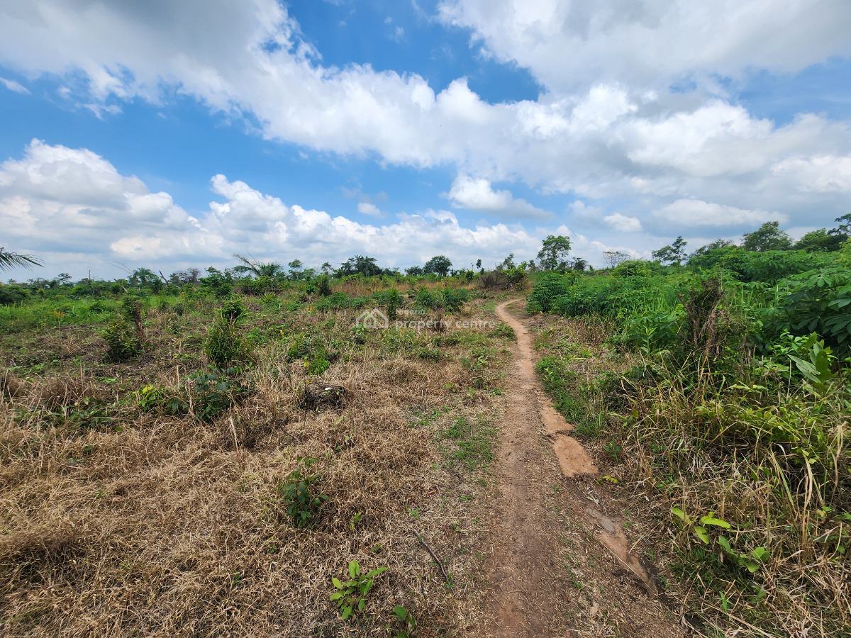 Own Affordable, Fertile Farmland Ideal for Cassava Farming, Off Funaab, Alabata Road, Odeda, Ogun, Mixed-use Land for Sale