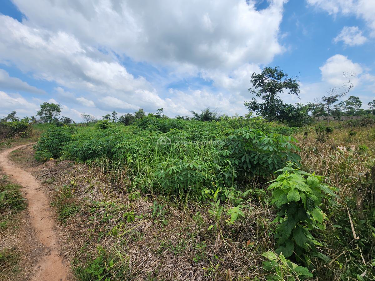 Own Affordable, Fertile Farmland Ideal for Cassava Farming, Off Funaab, Alabata Road, Odeda, Ogun, Mixed-use Land for Sale