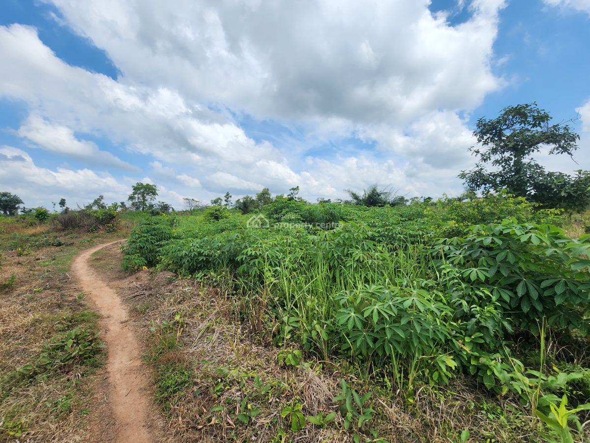 Own Affordable, Fertile Farmland Ideal for Cassava Farming, Off Funaab, Alabata Road, Odeda, Ogun, Mixed-use Land for Sale