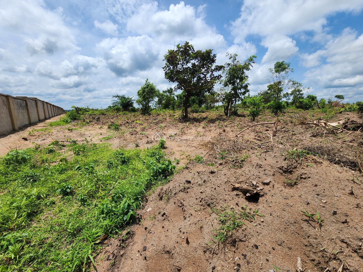 Get Your Own Farmland and Start Cultivating Oil Palm, Off Funaab, Alabata Road, Odeda, Ogun, Mixed-use Land for Sale