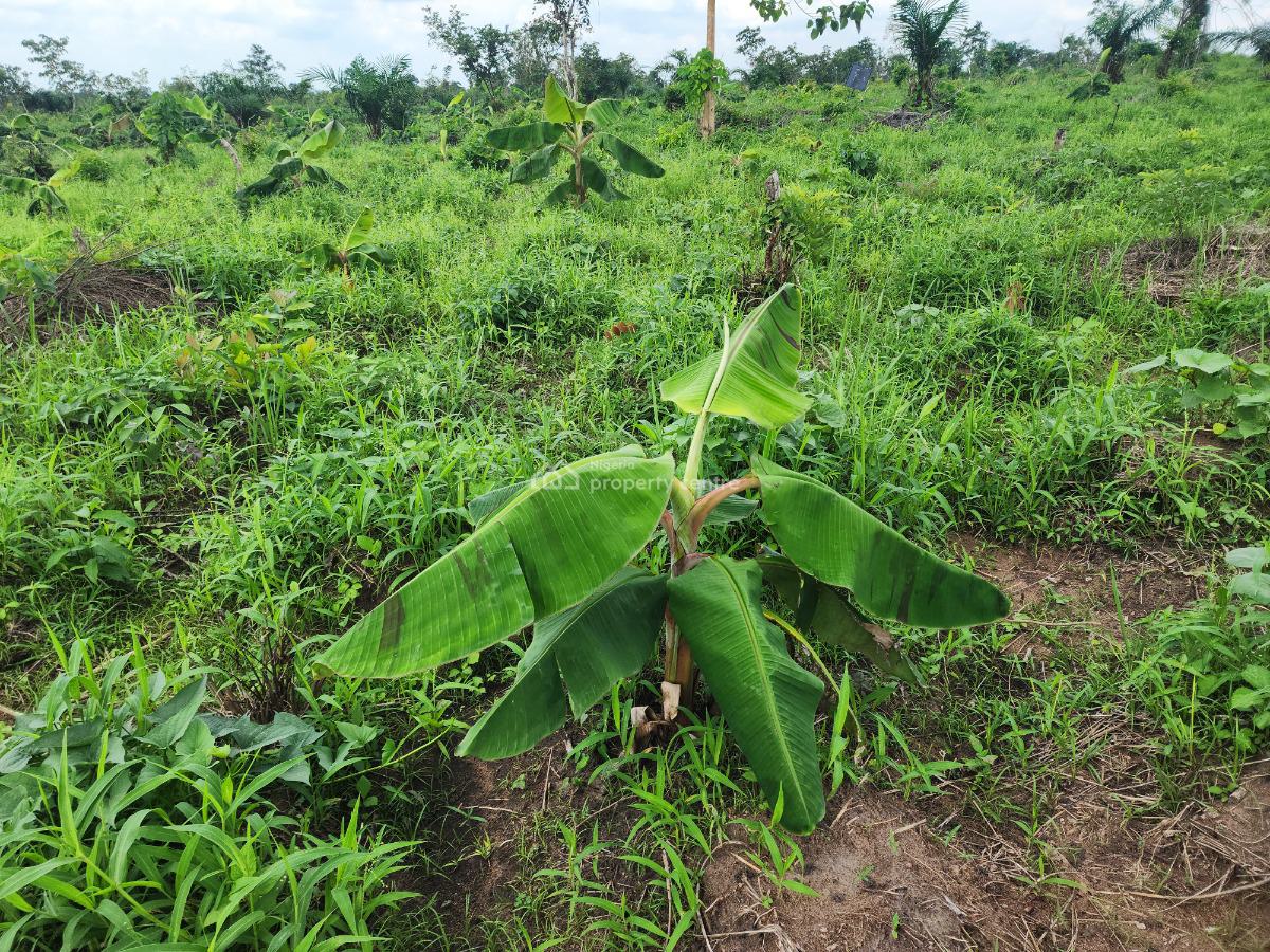 Own 100% Fertile Farmland, Ideal for Plantain Farming, Off Funaab, Alabata Road, Odeda, Ogun, Mixed-use Land for Sale