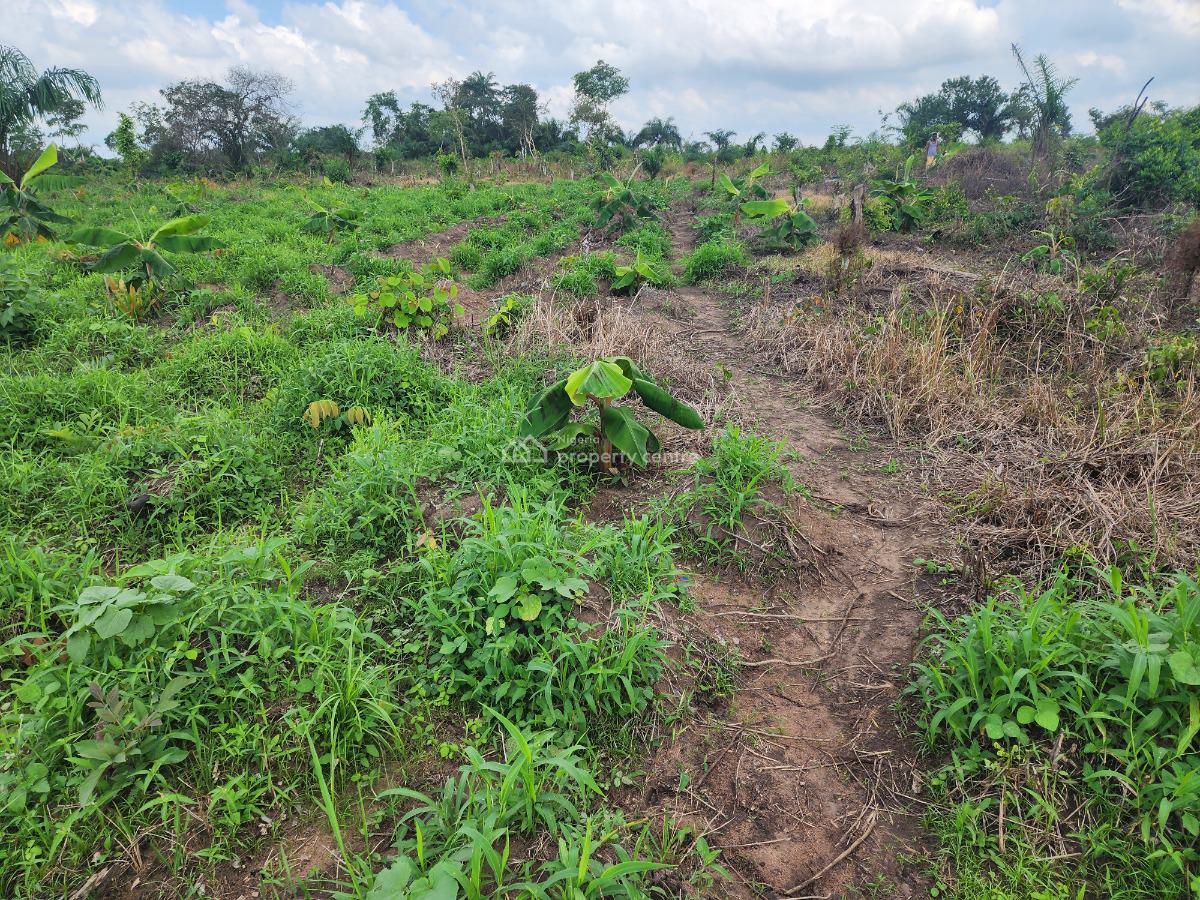 Own 100% Fertile Farmland, Ideal for Plantain Farming, Off Funaab, Alabata Road, Odeda, Ogun, Mixed-use Land for Sale