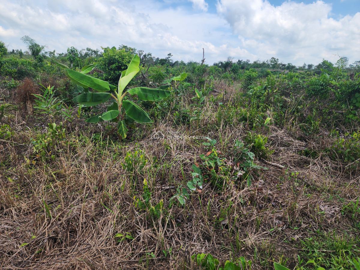 Own 100% Fertile Farmland, Ideal for Plantain Farming, Off Funaab, Alabata Road, Odeda, Ogun, Mixed-use Land for Sale