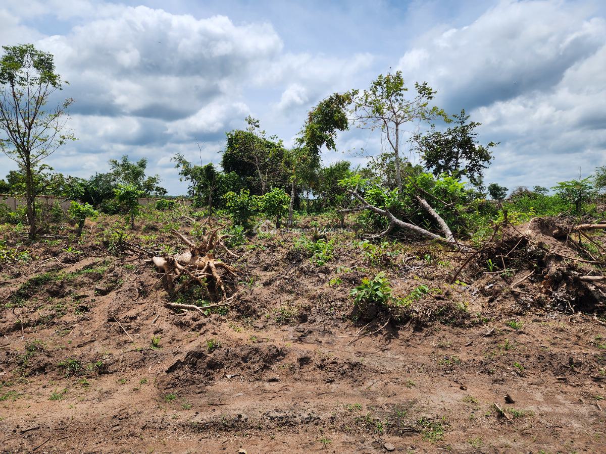Own Productive Farmland Suitable for Cocoa Farming, Off Funaab, Alabata Road, Odeda, Ogun, Mixed-use Land for Sale