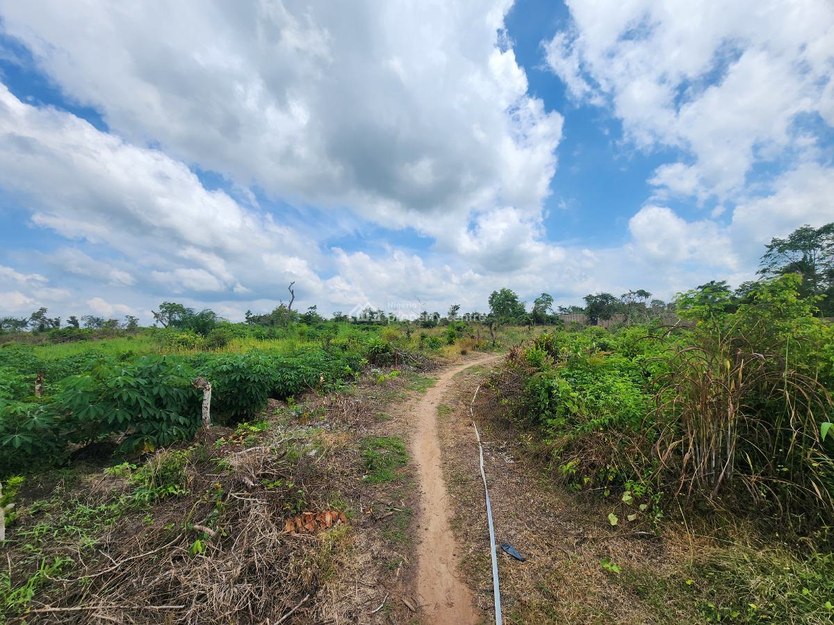 Own 100% Fertile Farmland, Ideal for Cassava Farming, Off Funaab, Alabata Road, Odeda, Ogun, Mixed-use Land for Sale