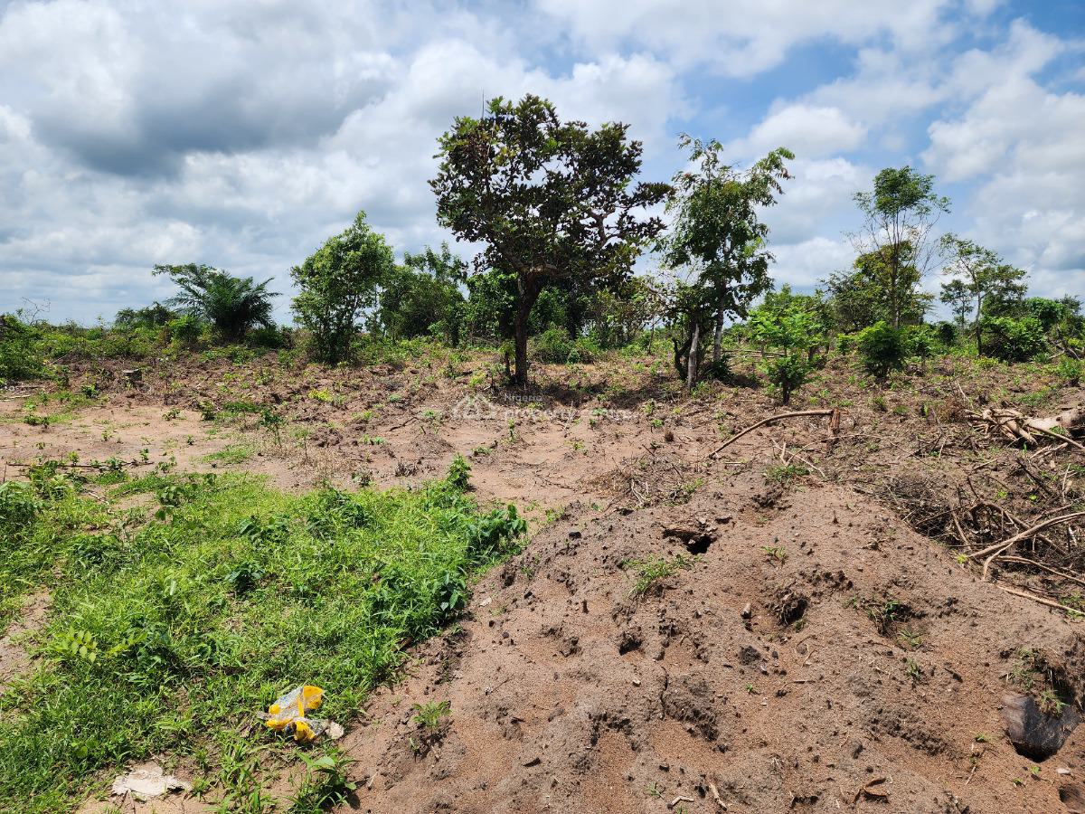 Acres of Farmland with a Promo Offer Suitable for Oil Palm Plantation, Off Funaab, Alabata Road, Odeda, Ogun, Mixed-use Land for Sale